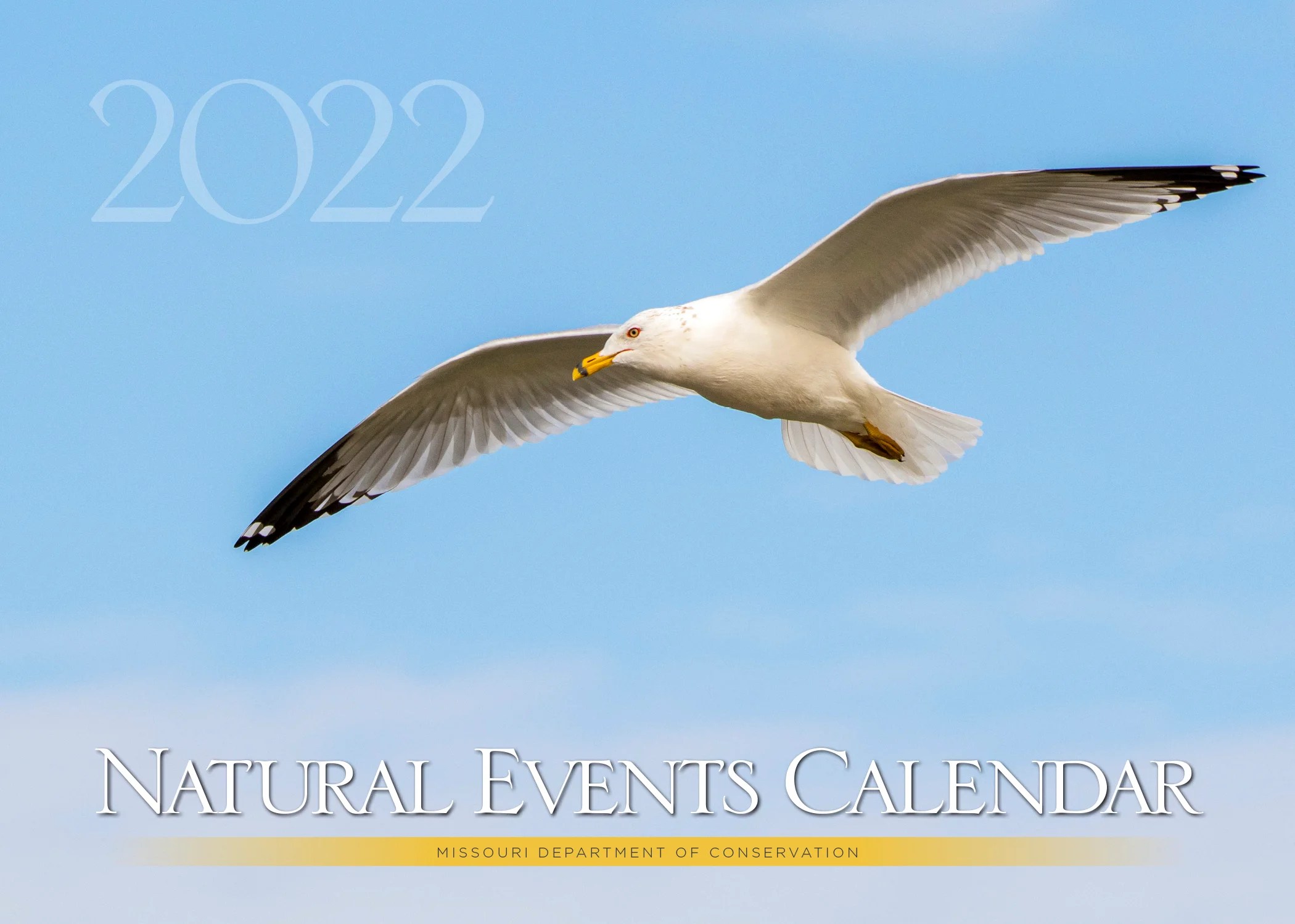 Mdc 2024 Natural Events Calendar Give NatureThemed Holiday Gifts from MDC Missouri Department of
